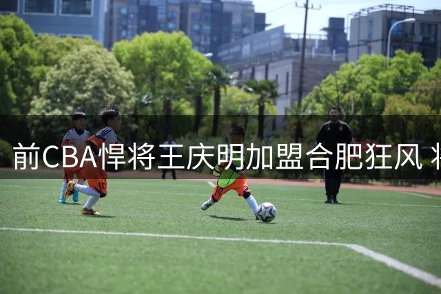 前CBA悍将王庆明加盟合肥狂风 将身兼球员教练两职
